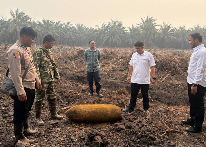 Geger! Martir Berkarat Sepanjang 1 Meter Ditemukan di Kebun Sawit Ogan Ilir