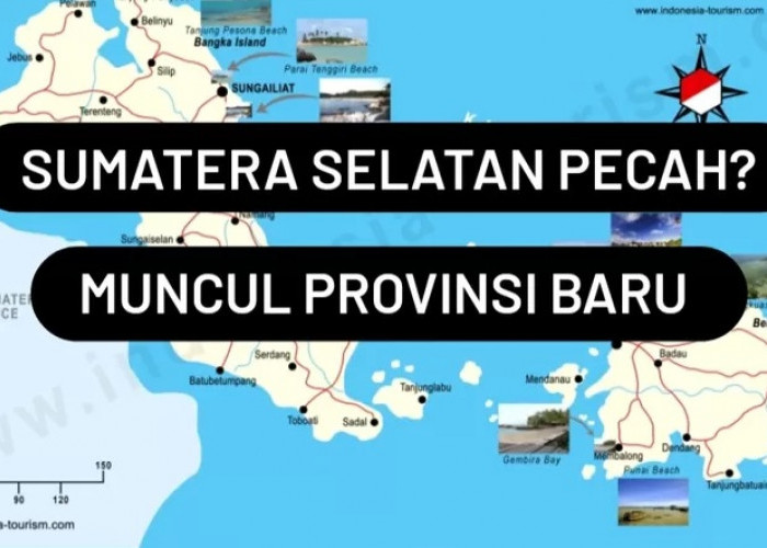 Pemekaran Wilayah Sumatera Selatan: Menuju Provinsi Palapa Selatan, Membangun Identitas Baru Lewat Sejarah