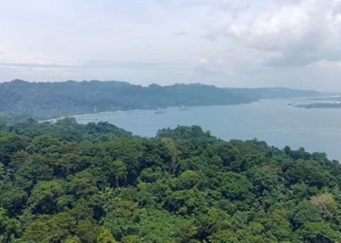 Eksotisme Pulau Nusakambangan, Surga Dunia Tersembunyi Calon Provinsi Jasela, Berikut 5 Fakta Unik!