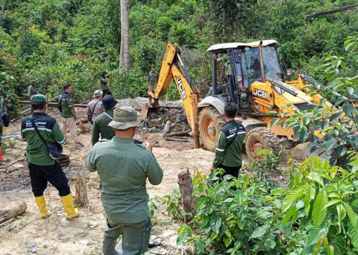 Operasi Gabungan Dishut Sumsel dan Jambi Tertibkan Sumur Minyak Ilegal di Hutan Harapan PT REKI