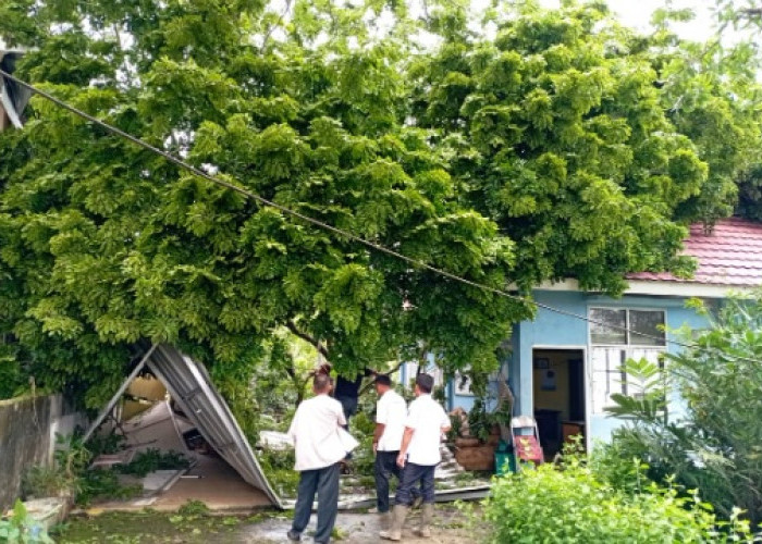 Angin Kencang, Kantor Lurah di Palembang Rusak Tertimpa Pohon Tumbang, Begini Kondisinya..