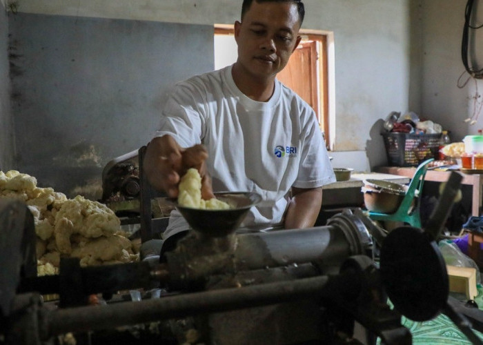 Momentum Hari UMKM Nasional, BRI Peduli Dorong Penguatan UMKM melalui Pendampingan Berkelanjutan 