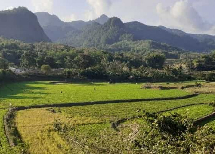 Pemekaran Wilayah Sulawesi Selatan: Potensi Ekonomi Kabupaten Bone Calon Ibukota Provinsi Bugis Timur
