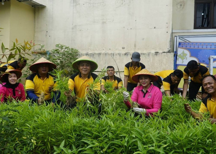 Polsek Prabumulih Timur Panen Kangkung Program P2L, Wujud Nyata Dukungan terhadap Ketahanan Pangan
