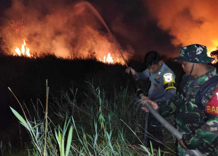 Kebakaran Lahan Gambut di Ogan Ilir Dekati Permukiman dan Jalan Tol, Diduga Dibakar Orang Tak Dikenal