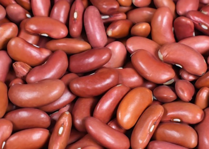 Manfaat Rendam Kacang Merah: Meningkatkan Nutrisi dan Efisiensi Memasak