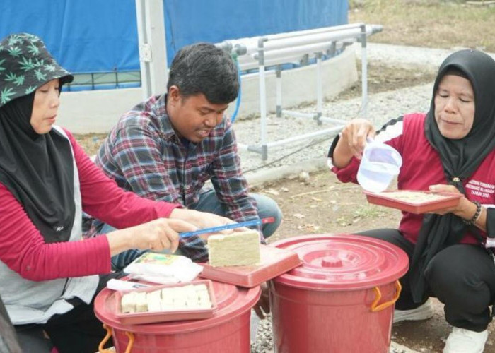 PT Semen Baturaja Kembangkan Program Hidroponik