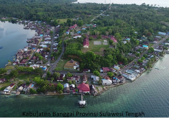 Wacana Pemekaran Kabupaten Banggai: Mewujudkan 4 Kabupaten dan Kota Baru di Provinsi Sulawesi Tengah