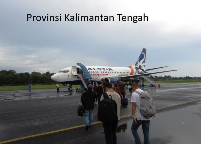 Dinamika Transportasi Indonesia: Analisis Mendalam Penurunan Angkutan Udara dan Peningkatan Angkutan Laut