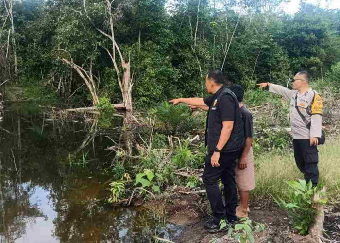 Diserang Buaya Saat Cari Rumput, Warga Musi Rawas Nyaris Meregang Nyawa
