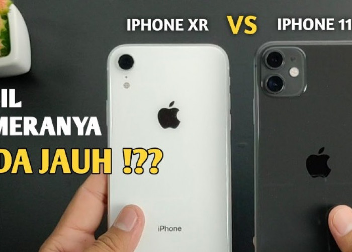 Pertarungan Antara iPhone XR dan iPhone 11: Memilah Spek dan Fitur Terbaik, Kamu Suka yang Mana?
