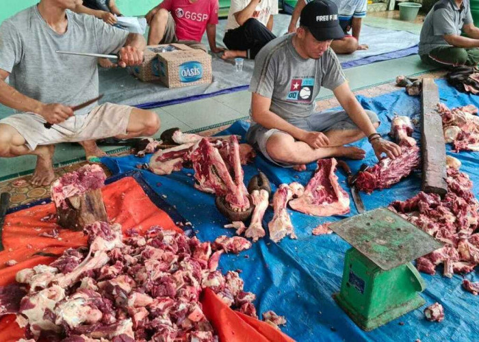 Masjid Al-Barokah Sembelih 10 Hewan Kurban, 350 Kupon Daging Dibagikan ke Warga