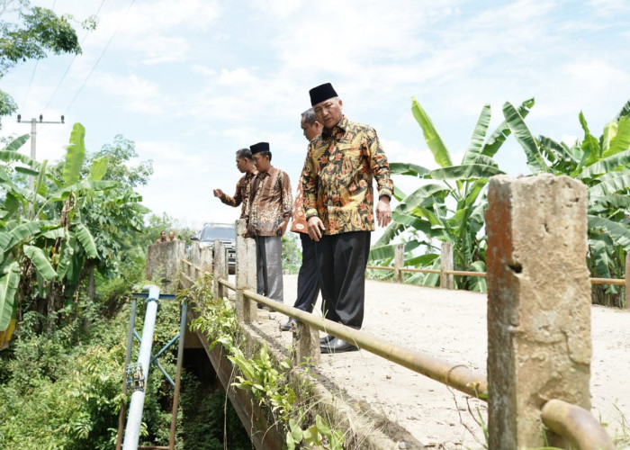 Khawatir Bakal Ambruk, Pj Bupati Apriyadi Cek Jembatan Desa Tanjung Agung Lais