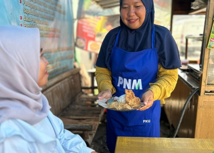 Holding Ultra Mikro Terbukti Tingkatkan Kesejahteraan, Perempuan Ini Sukses Kembangkan Usaha Rumahan 