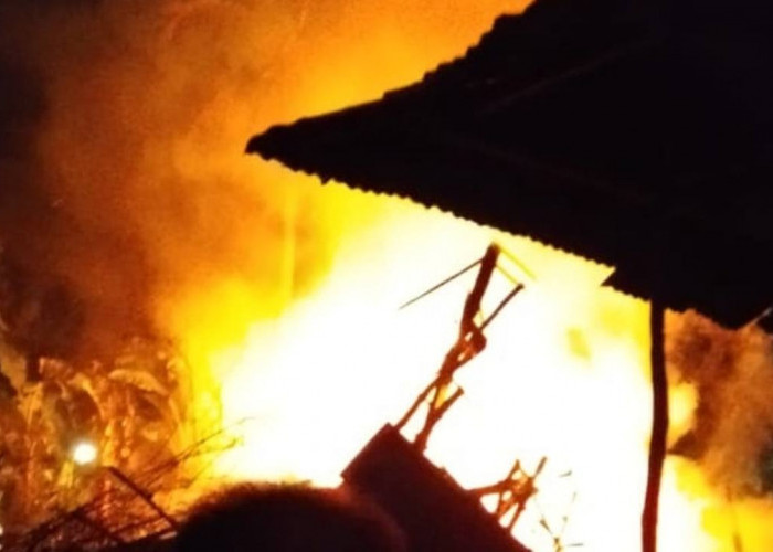 Rumah Kosong Ditinggal 4 Tahun Habis Dilalap Api