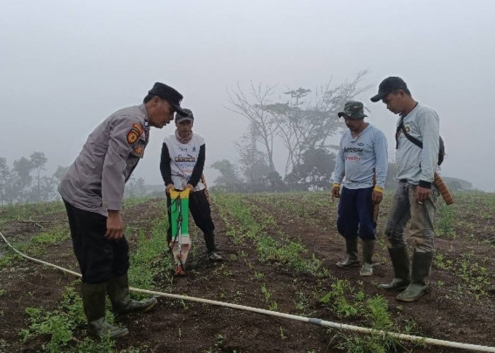 Tingkatkan Kesejahteraan Masyarakat Melalui Program Lahan Produktif