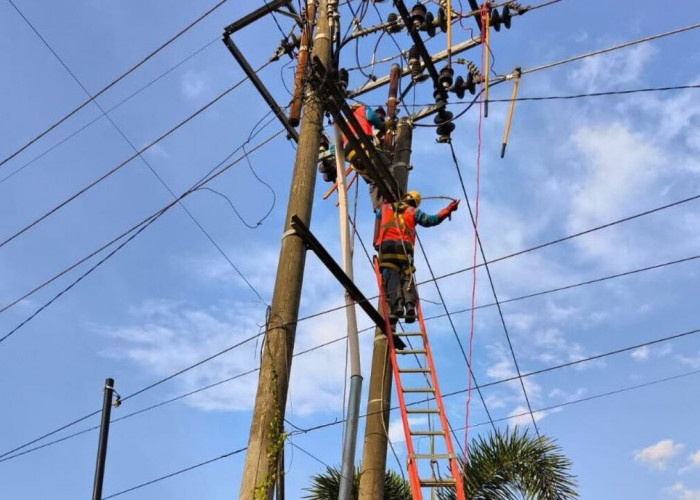 Pasca Idul Fitri, PLN ULP Lubuklinggau Perkuat Keandalan Listrik Lewat Perbaikan Saluran Kabel Tegangan Meneng