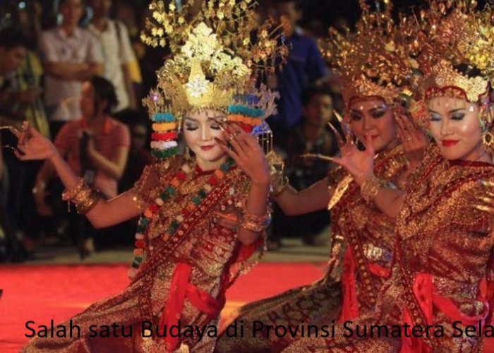 Eksplorasi Kekayaan Budaya Suku Bangsa di Provinsi Sumatera Selatan: Kisah Menarik dari Batang Hari Sembilan
