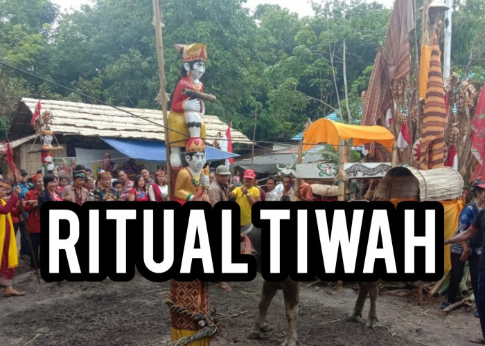 Waw! Upacara Ritual Tiwah Suku Dayak Ngaju: Di Mana Tulang Orang Ninggal Dipisahkan dari Dagingnya