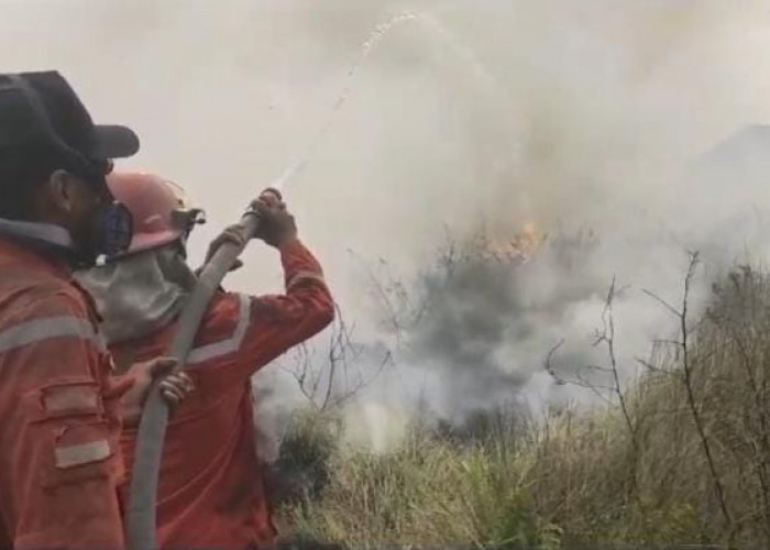 Kebakaran Lahan Makin Meluas, Tol Palindra Hingga Jalan Lintas Sumatera Diselimuti Asap Tebal