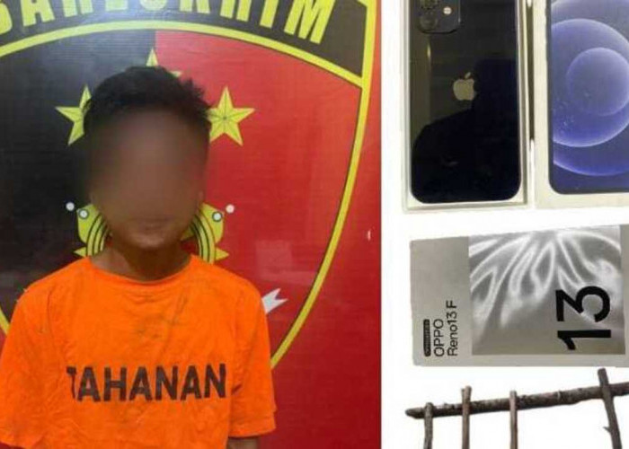 Pelaku Curat di Babat Toman diamankan