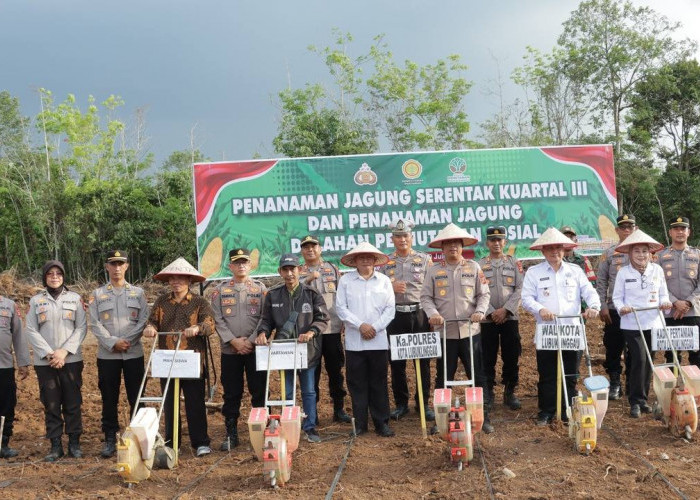 Dukung Swasembada Pangan, Kapolres dan Forkompinda Lubuklinggau Menanam Jagung Bersama
