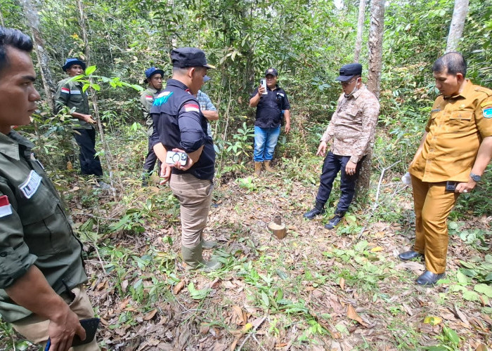 Sumur Minyak Tua Warisan Belanda Kembali Ditinjau Pemkab OI, Ini Hasilnya