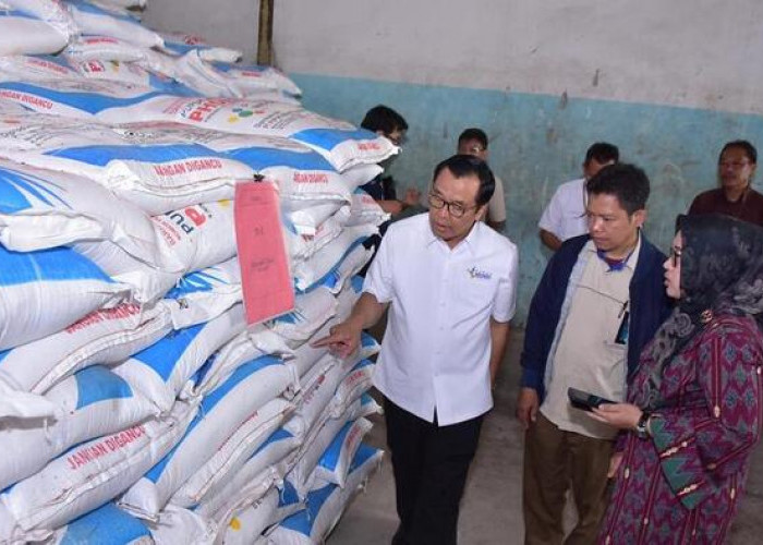 Pupuk Indonesia Siapkan 92.445 Ton untuk Wilayah Sumbagsel