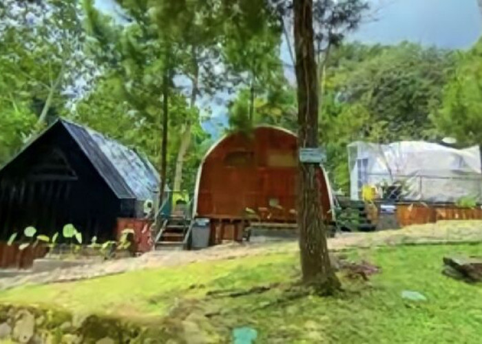 Indahnya Alam dan Rasakan Kenyamanan Menginap di Turi Boba Luxury Glamping Bogor