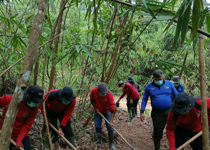 PT REKI Perkuat Pencegahan Karhutla di Hutan Harapan, Patroli dan Pemantauan Hotspot Ditingkatkan