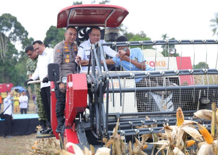 Sinergi Nasional, Polda Sumsel Lampaui Target Tanam Jagung Guna Dukung Swasembada Pangan 2026