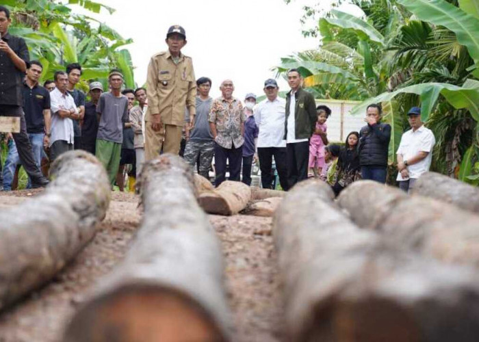 Sat-Set, Bupati OKI Cek Langsung Jembatan Rusak di Desa Kandis