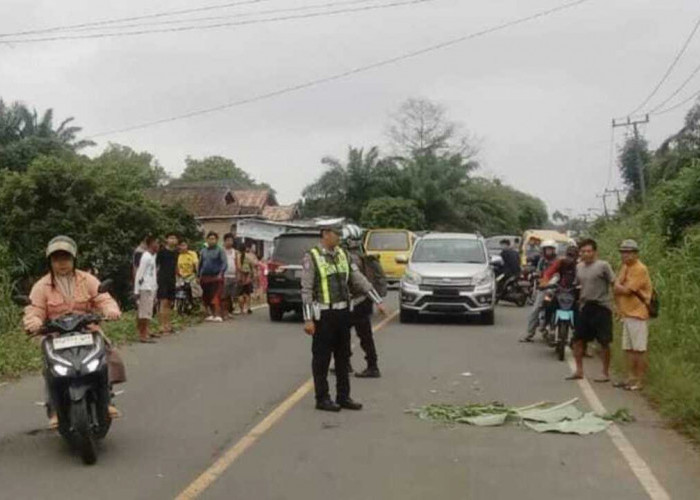 Kecelakaan Maut di Jalan Lintas Sumatera : Satu Pelajar Tewas Tragis, Satu Luka-luka