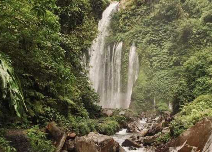 Air Terjun Sendang Gile: Keindahan Alam yang Mengagumkan di Tengah Hutan Tropis Lombok