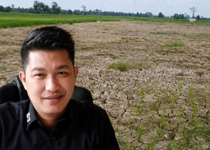 Petani Padi di Ogan Ilir Terancam Gagal Panen Akibat Kekeringan, Kadin Pertanian OI Engan Ditemui