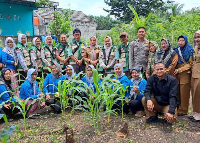 KWT Merpati Muara Dua Sukses Tingkatkan Ekonomi Keluarga Lewat Kebun Mandiri
