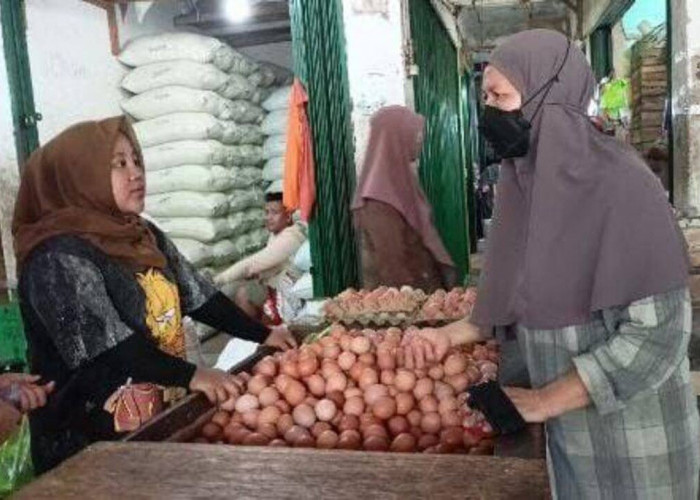 Harga Telur Ayam Ras di OKU Turun Rp1.000 Perkg