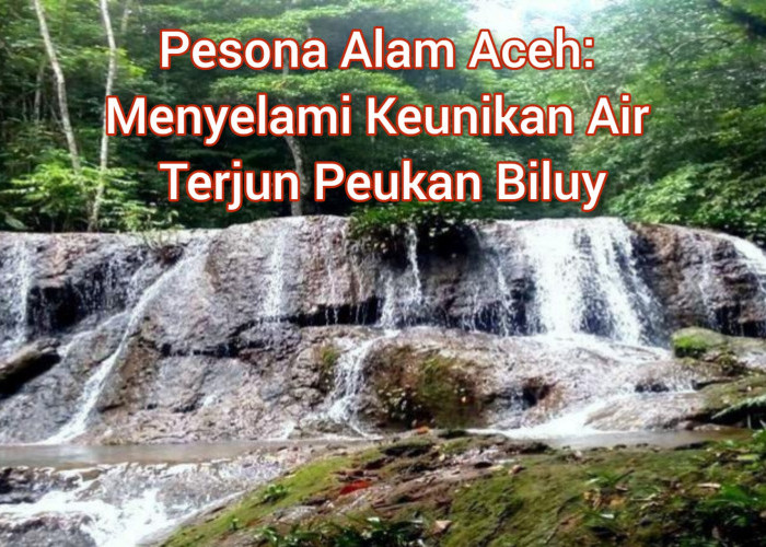 Pesona Alam Aceh: Menyelami Keunikan Air Terjun Peukan Biluy