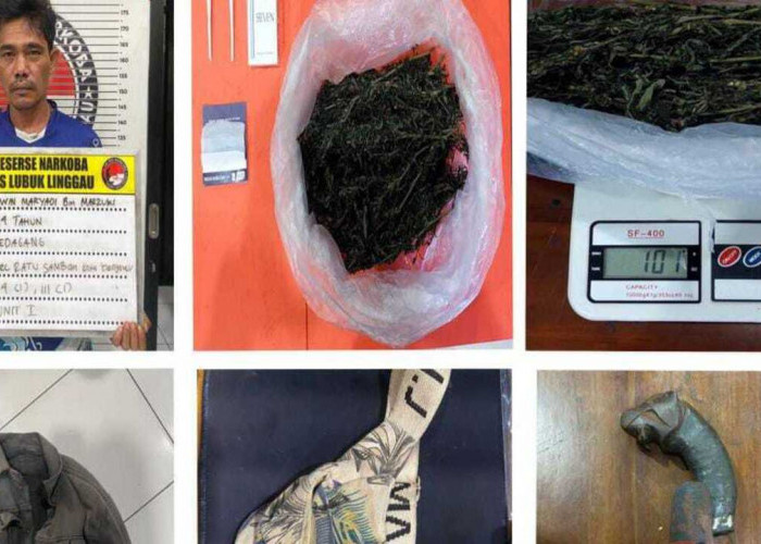 Nyambi Bisnis Ganja, Pedagang Asal Bengkulu Terciduk Bawa Ganja di Kota Lubuklinggau