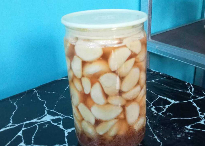 Fakta atau Mitos : Bawang Putih dan Madu Memiliki Banyak Khasiat, Begini Penjelasannya!
