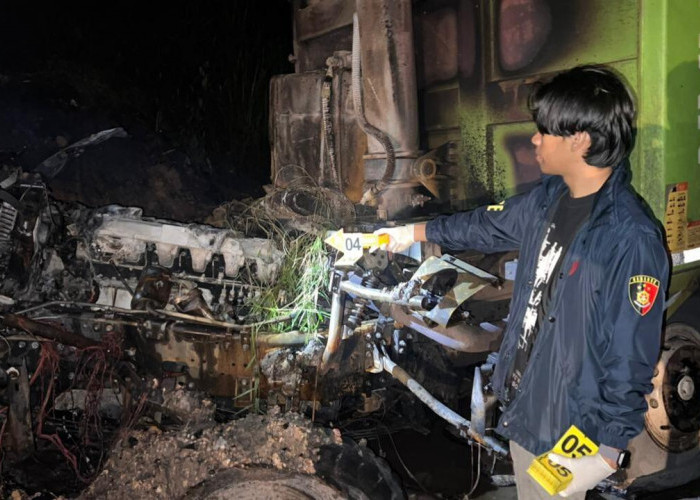 Dua Dump Truck Batu Bara Tabrakan di Jalan Hauling Muratara, Satu Sopir Tewas Terbakar