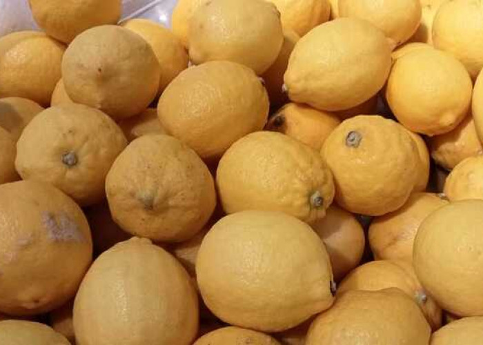 12 Manfaat Lemon yang Mungkin Kamu Lupakan 