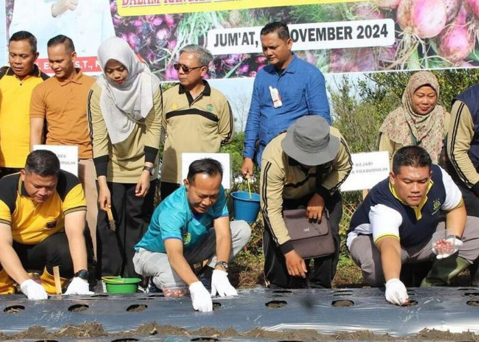 Kendalikan Inflasi dan Tingkatkan Ketahanan Pangan, Pj Wako Prabumulih dan Forkopimda Tanam Bawang Merah