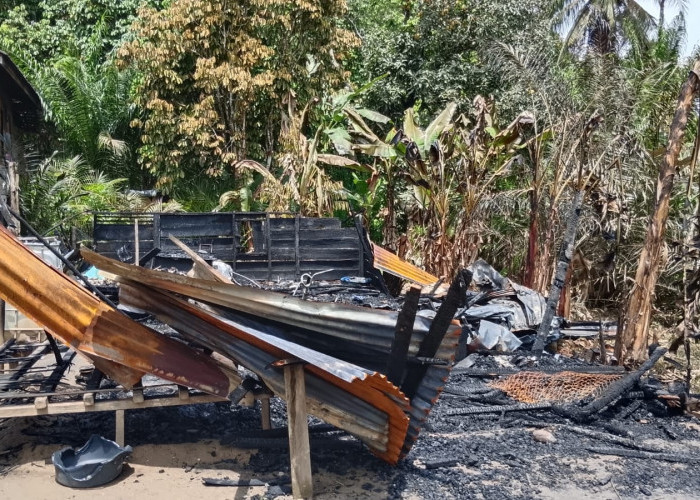 Sijago Merah Hanguskan Rumah Sekaligus Warung Manisan