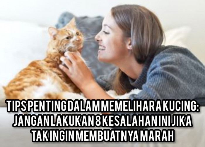 Tips Penting dalam Memelihara Kucing: Jangan Lakukan 8 Kesalahan Ini Jika Tak Ingin Membuatnya Marah