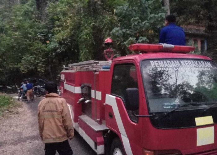 Api Melalap Puncak Bukit Sulap Lubuklinggau, Medan Curam Jadi Kendala Pemadaman