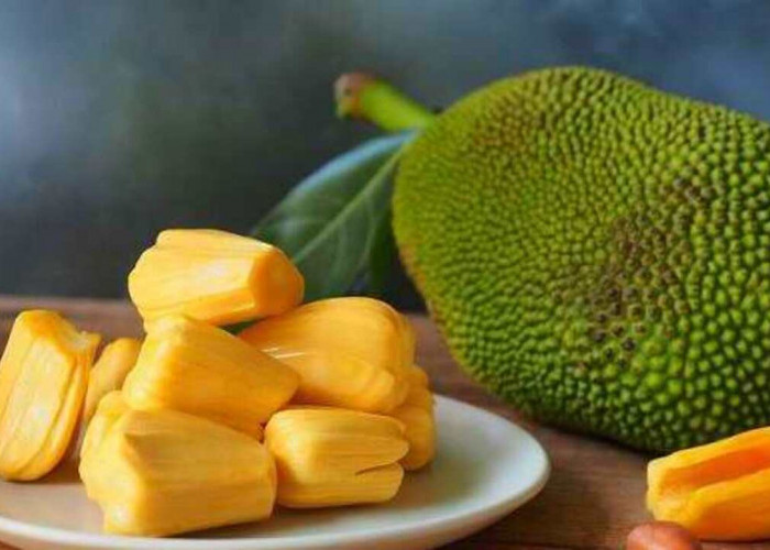 Manis, Murah, dan Menyehatkan: Nangka, Buah Tropis Penjaga Imunitas Tubuh