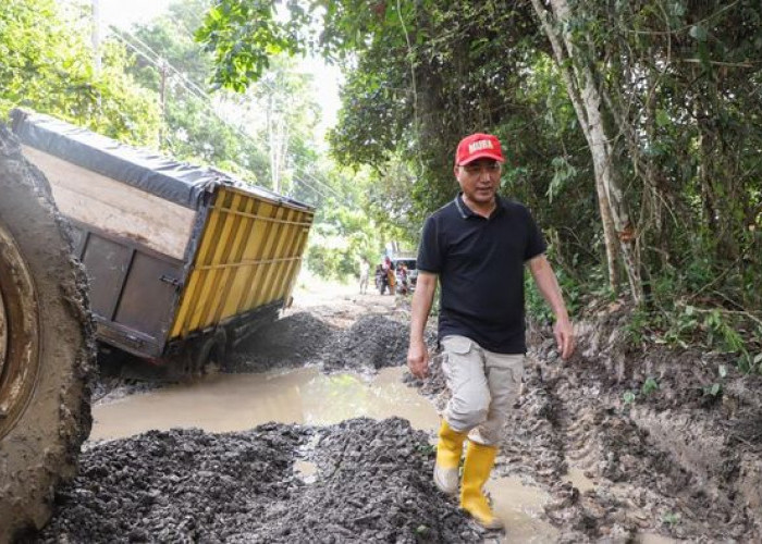 Pj Bupati Apriyadi Turun Langsung Atasi Kerusakan Jalan Desa Bandar Jaya 