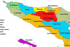 Pemekaran Wilayah Aceh: Wacana Pembentukan Provinsi ALA Andalkan Kekayaan Alam Perkebunan dan Kehutanan