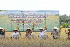 Dukung Pemanfaatan Kalium Humat, Tingkatkan Produktivitas Pertanian